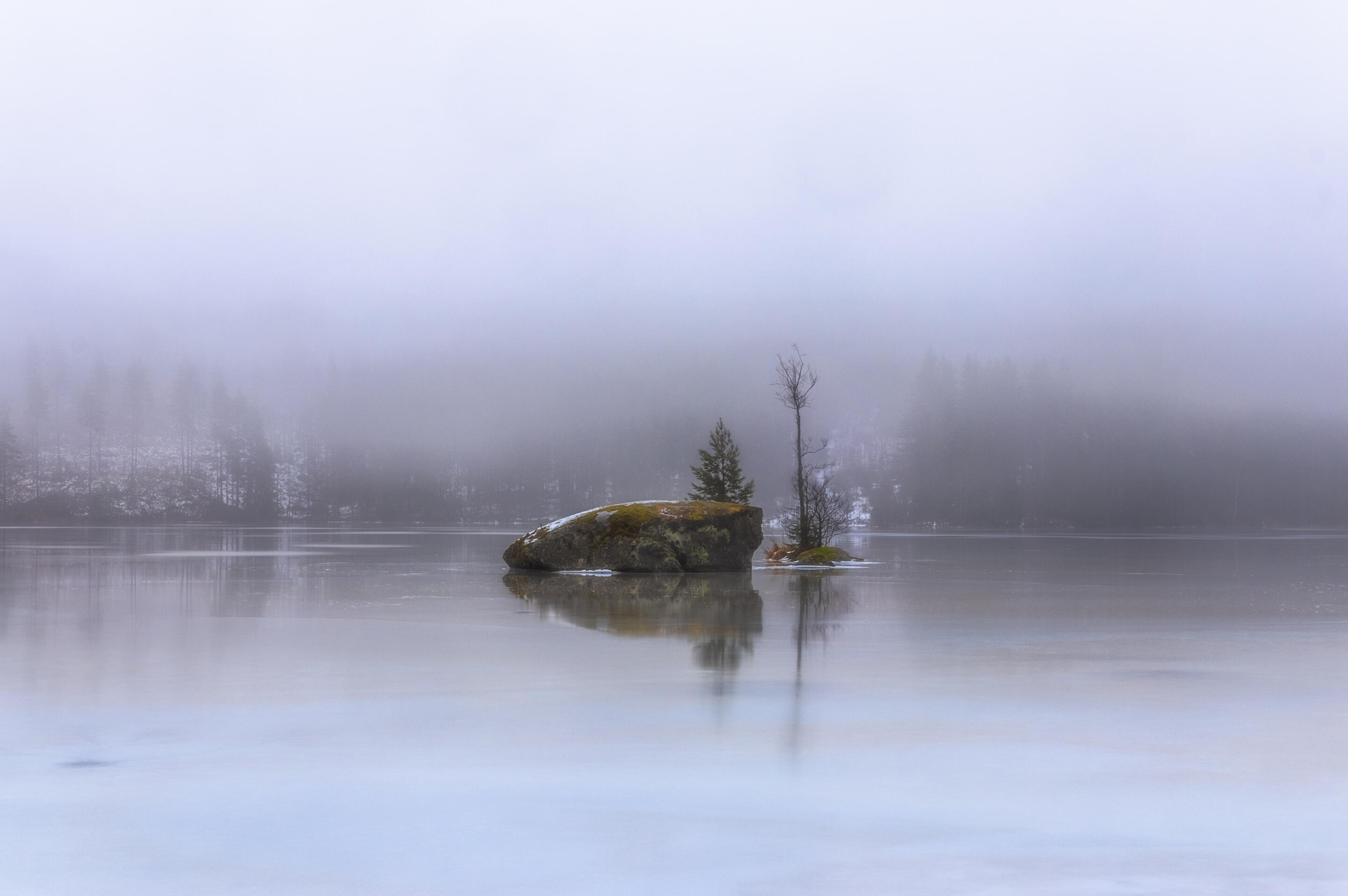 Foggy Christmas morning
